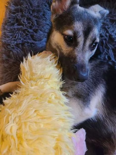 San - Die Feinfühlige