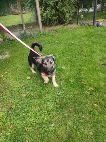 San - Die Feinfühlige