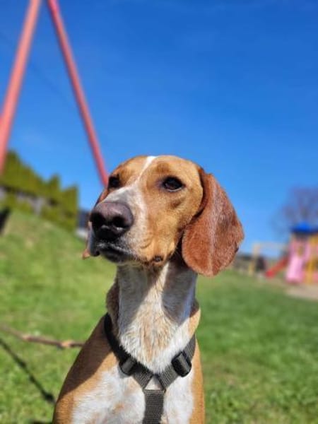 Liebe Asia sucht ihre Menschen