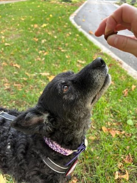 💕Sunny💕 sucht ihre Menschen💕