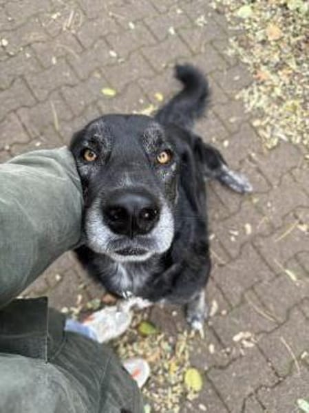 Hänsel - Ein All-Round-Traumpaket!!!