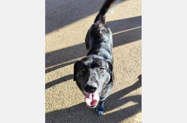 Hänsel - Ein All-Round-Traumpaket!!!