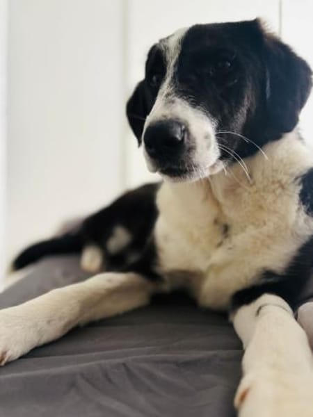 💙Jack Pot💙sucht sein großes Glück