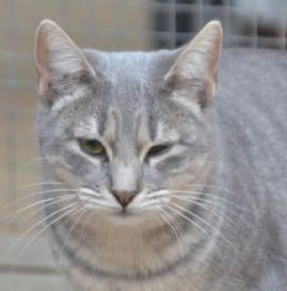 Tania braucht Geduld und Geborgenheit,