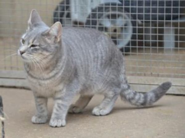 Tania braucht Geduld und Geborgenheit,