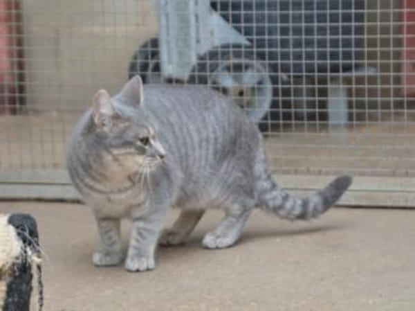 Tania braucht Geduld und Geborgenheit,