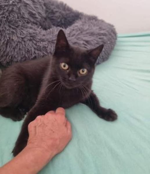 💕Samanta wartet auf ihr Glück 💕