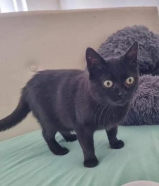 💕Samanta wartet auf ihr Glück 💕