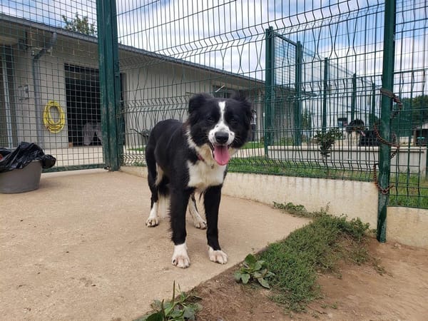 LOLA QCN (réservée)