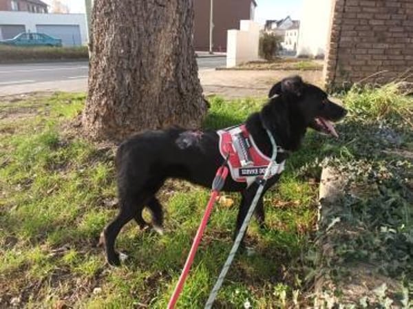 Tikva PLZ 52... Pflegestelle