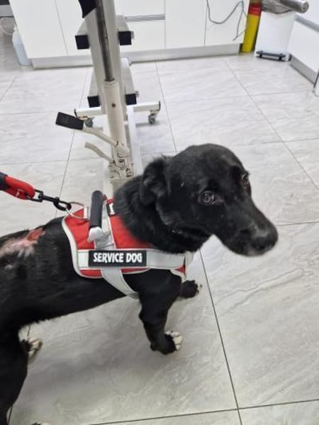 Tikva PLZ 52... Pflegestelle