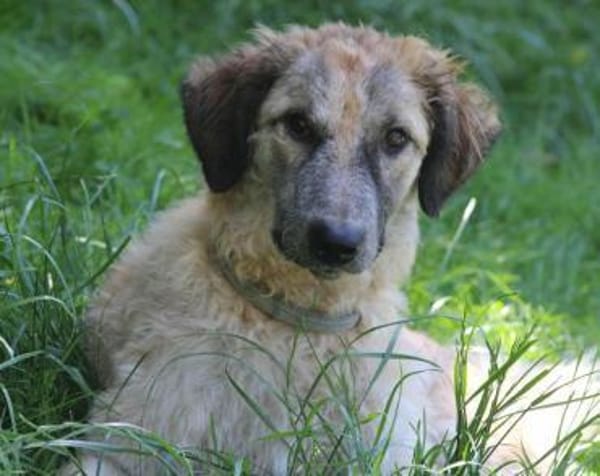 Cora, Man muss nicht perfekt sein ❤