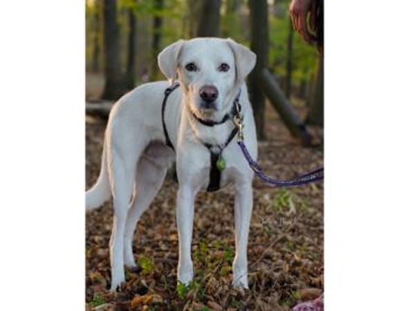 Fedro sucht erfahrene Menschen