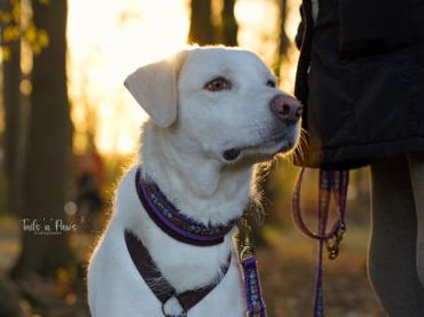 Fedro sucht erfahrene Menschen