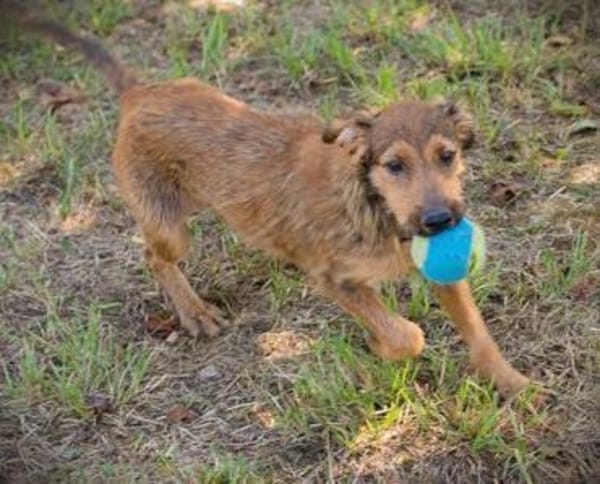 kinderliebe, fröhliche Marina sucht....