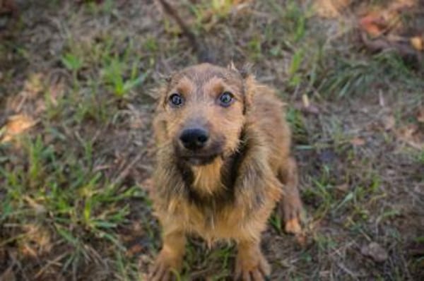kinderliebe, fröhliche Marina sucht....