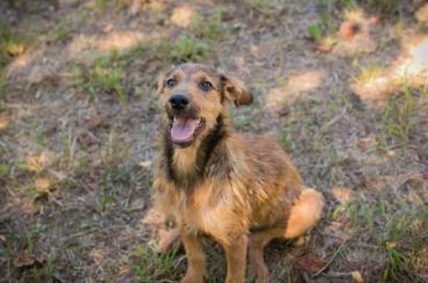 kinderliebe, fröhliche Marina sucht....