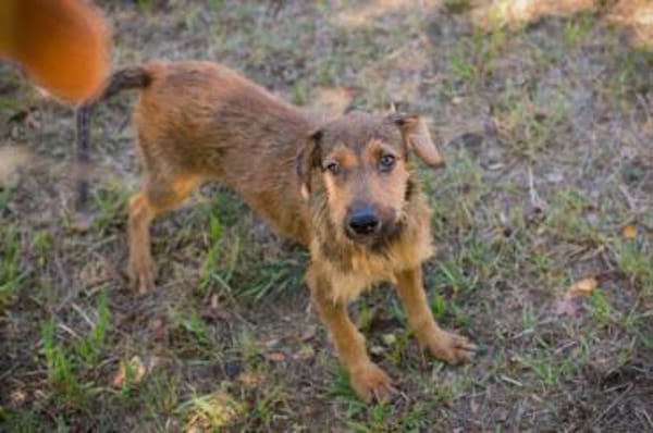 kinderliebe, fröhliche Marina sucht....