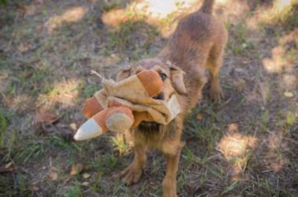 kinderliebe, fröhliche Marina sucht....