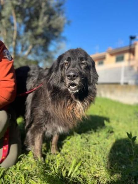 PALU🍀🍀🍀Altersruhesitz gesucht