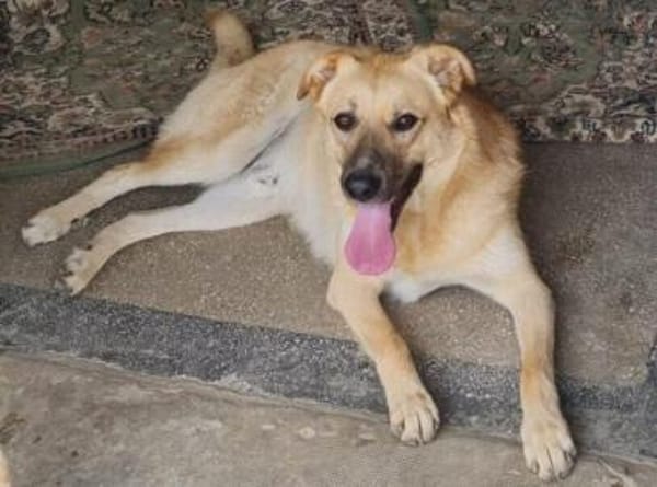 Kygo jung-hübsch-talentiert sucht ;-)