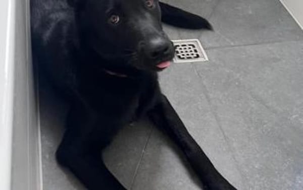 Cleverer Max will aufs Land