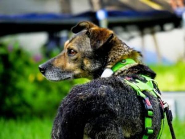 AKHIRO * drollig liebevoll vorsichtig