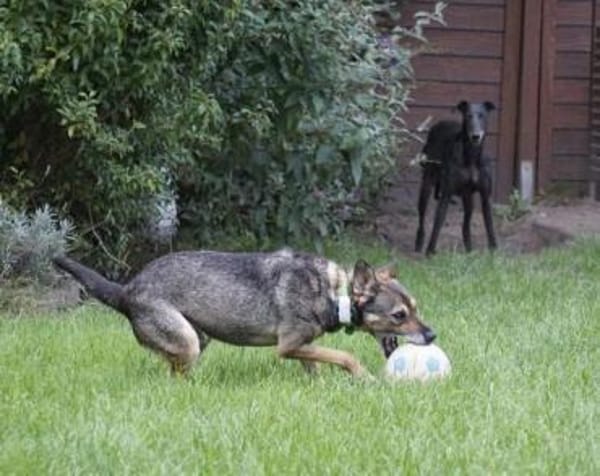 AKHIRO * drollig liebevoll vorsichtig