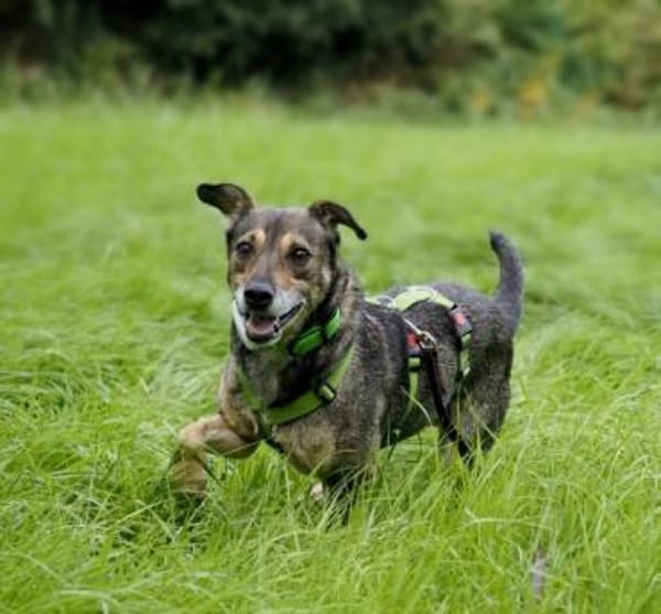 AKHIRO * drollig liebevoll vorsichtig