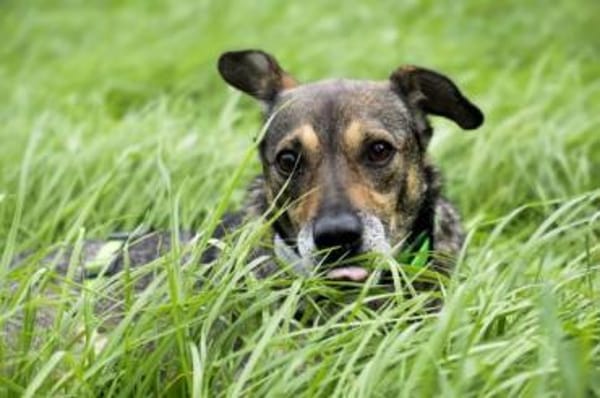 AKHIRO * drollig liebevoll vorsichtig