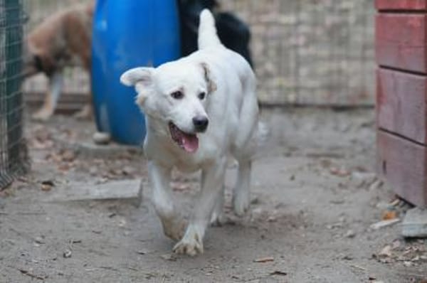 wer gibt Sunny ein Zuhause?