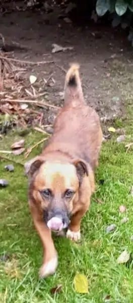 VEITILI -klein & verschmust-