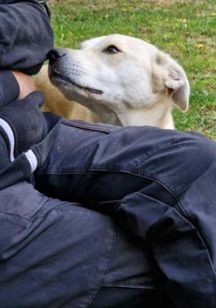 CHITA -sucht ein neues Zuhause-