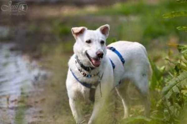 JONATHAN -sucht erfahrene Menschen-