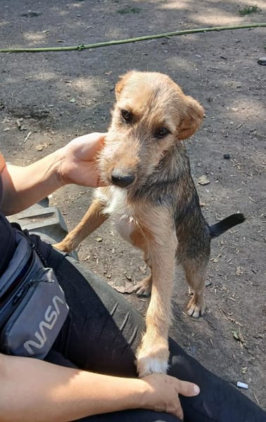 Jamy sucht Familienanschluß