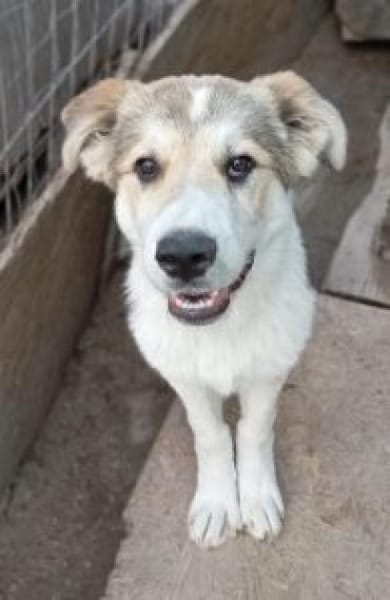 Zara 56 cm (Nov 25) Pflegestelle