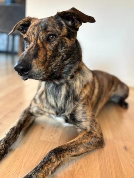 SAMY - sensible und bewegungsintensiv