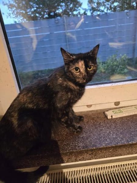 Mama Maya wünscht sich ein Familie