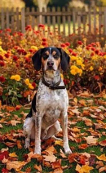 Benson 3 (zur Pflege in 06889 Luthersta)