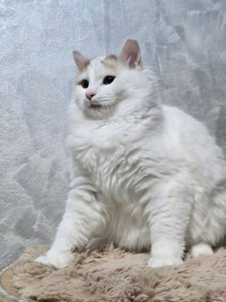 BARON&PRINCE - Zusammen durchs Leben!