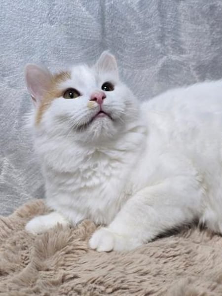 BARON&PRINCE - Zusammen durchs Leben!