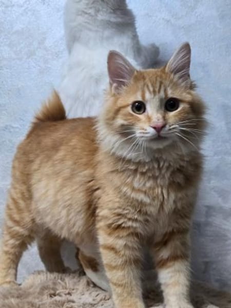 BARON&PRINCE - Zusammen durchs Leben!