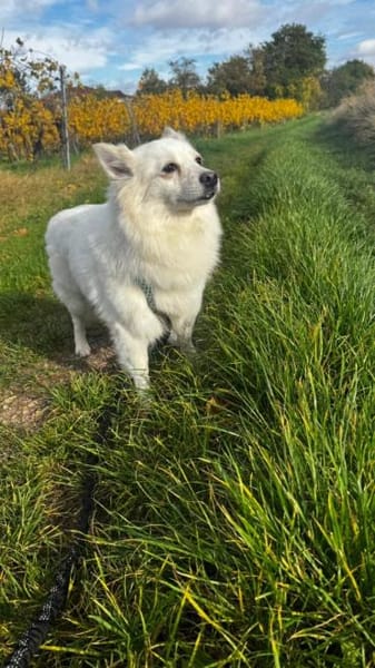 Lebensfrohe Amy hat eine Menge Energie