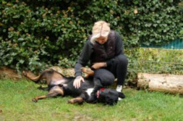 CHOPPER - kleiner Wirbelwind mit Herz