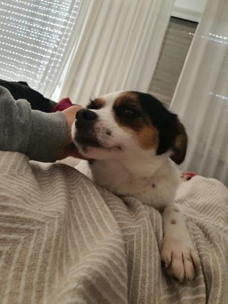 Elsie auf PS in Neuss sucht ihre Familie