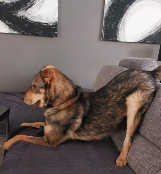 Jampy * und ab ins Herz seiner Menschen