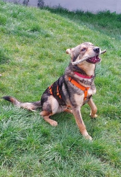 Jampy * und ab ins Herz seiner Menschen