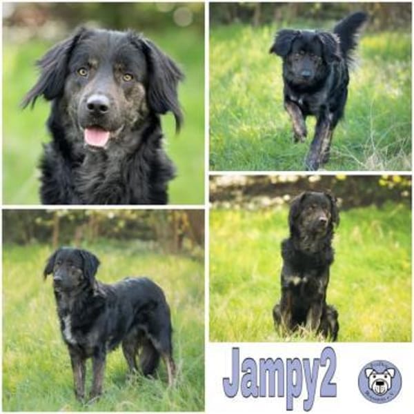 JAMPY2 * sportlicher Schmuser