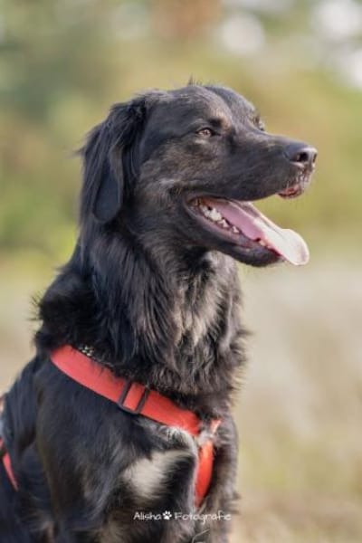 JAMPY2 * sportlicher Schmuser