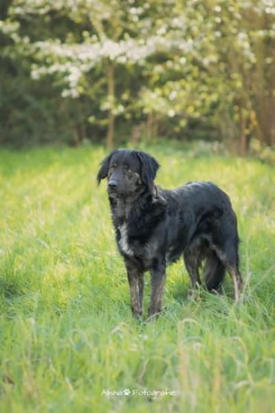 JAMPY2 * sportlicher Schmuser